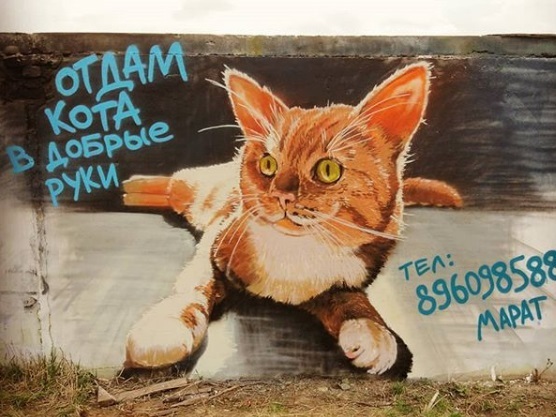 Абишев пристраивает кота с помощью граффити