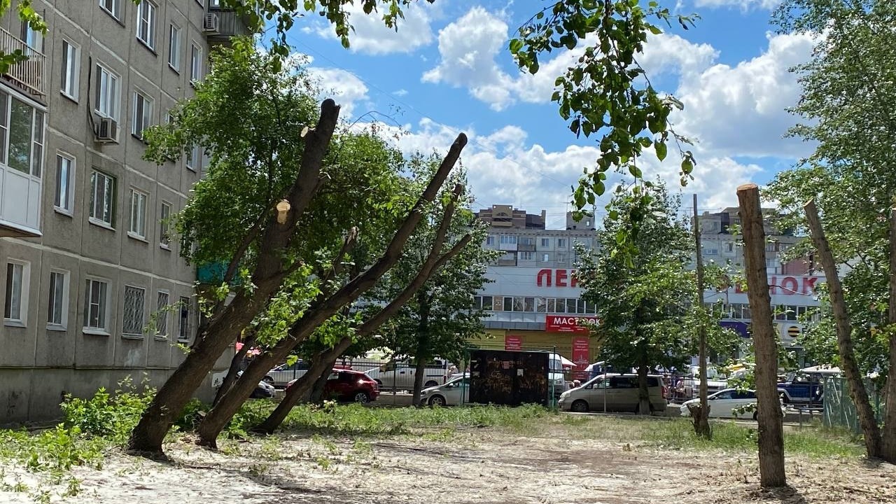 Депутат от Новых людей вступился за Ленинский округ, в котором вырубили деревья