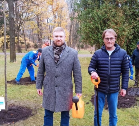 Экс-омич Малькевич высадил дубы в Петербурге