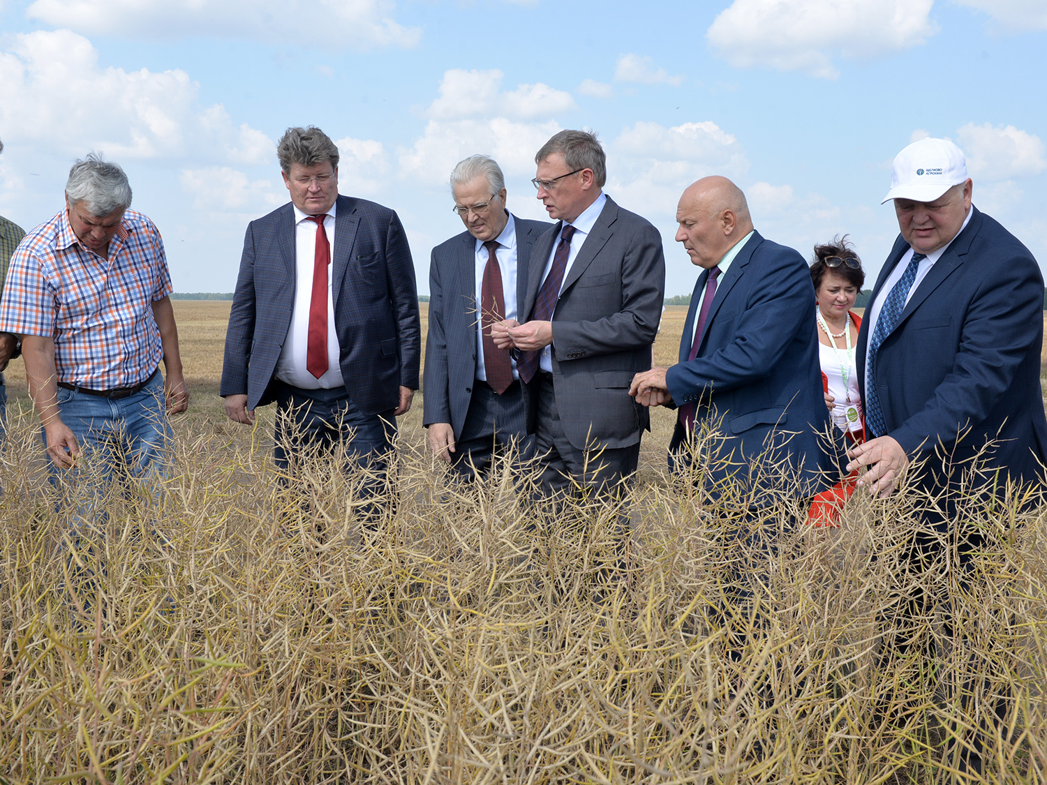 В омском Минсельхозе разработают программу развития сельского хозяйства до 2024 года