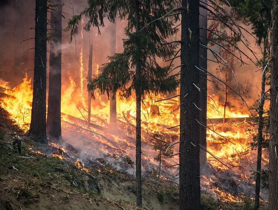 На Дальнем Востоке начались лесные пожары