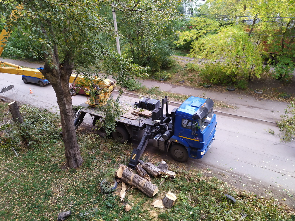 Вырубили яблони, ивы и березы. Центральная улица Омска лишилась 146 деревьев