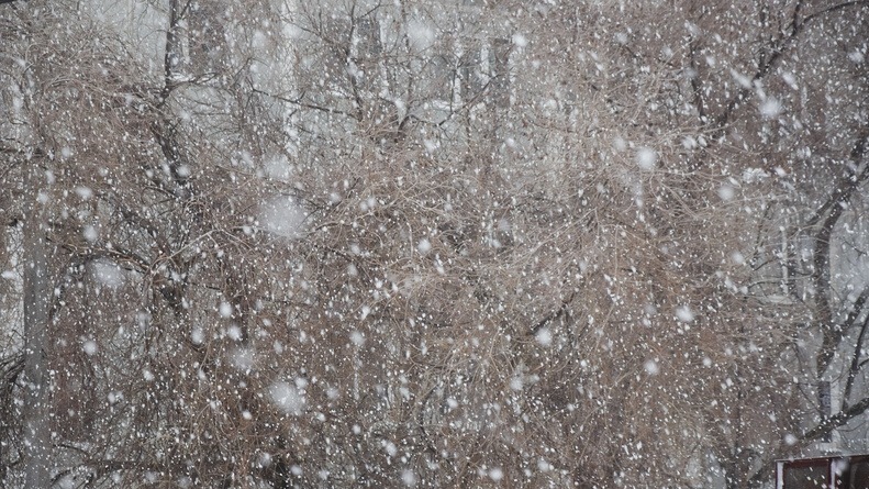 На западе Омской области выпал первый снег 