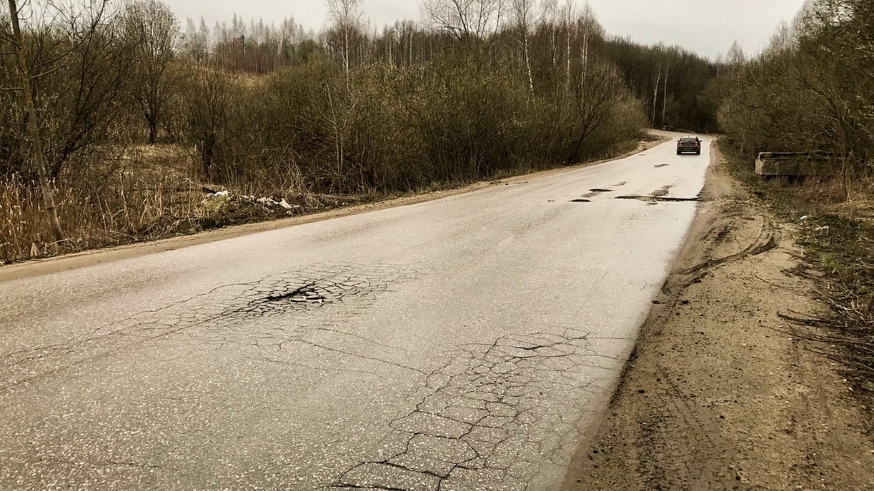 На трассе в Омской области легковой автомобиль столкнулся с лосем