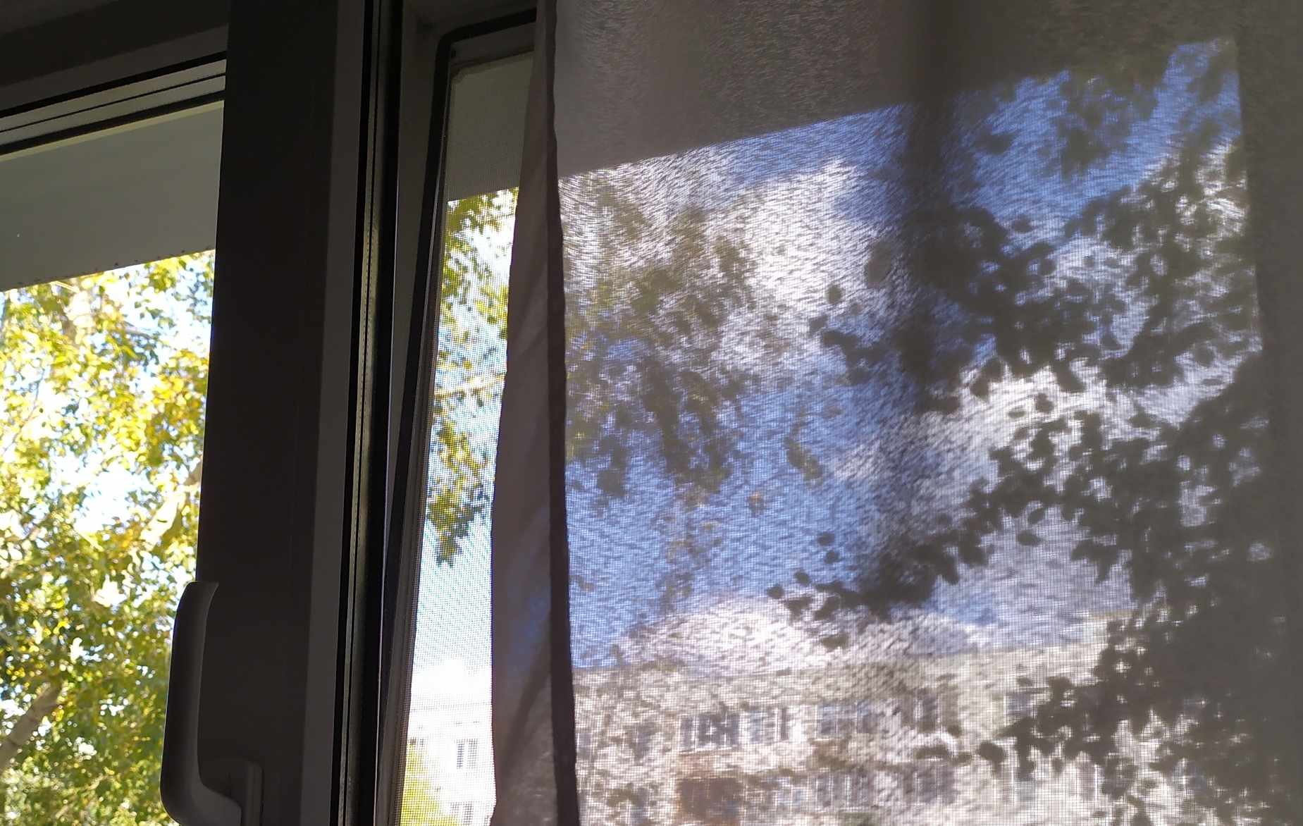 В Омске ребенок выпал из окна на глазах у прохожей