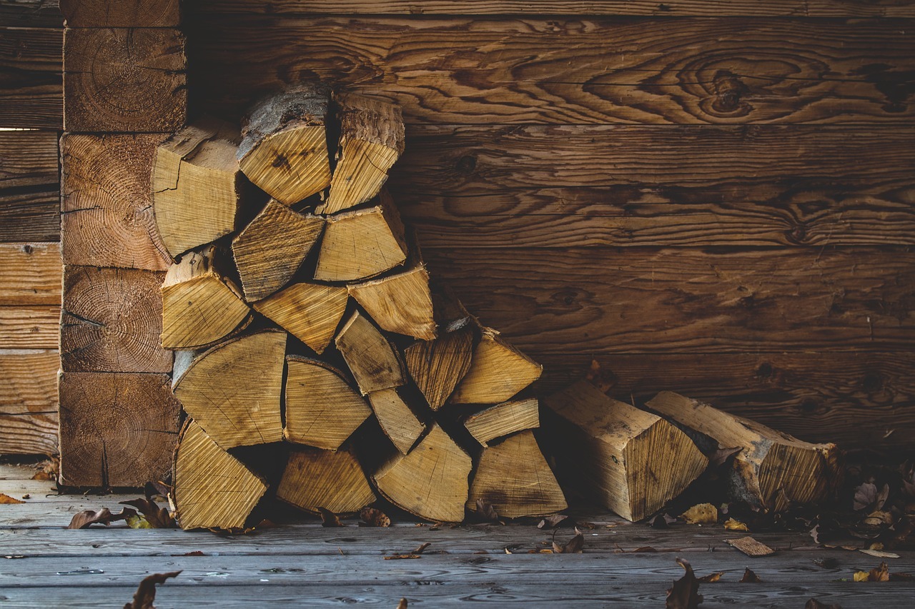 В Омской области накажут поставщика дров, поднявшего стоимость товара