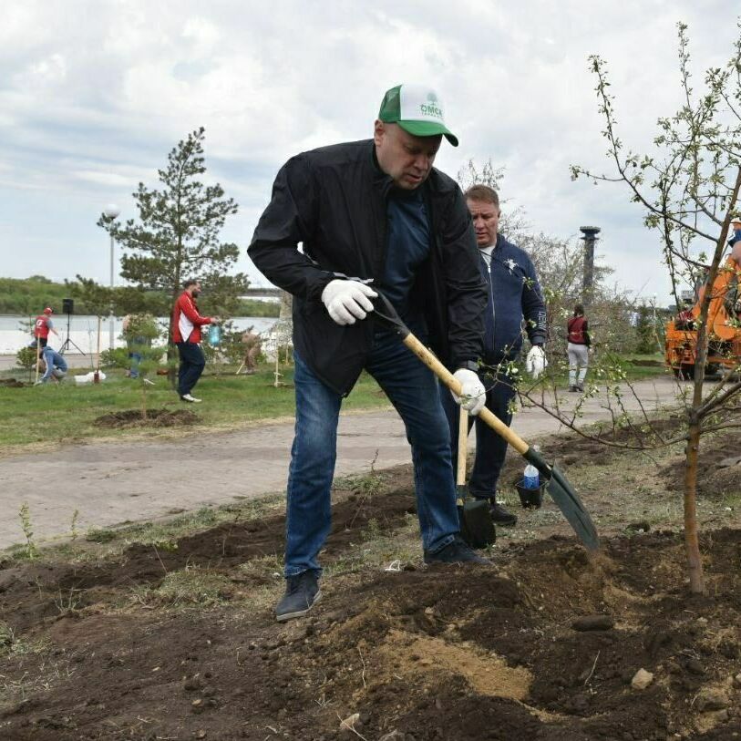 Сергей Шелест высадил дерево в мае.