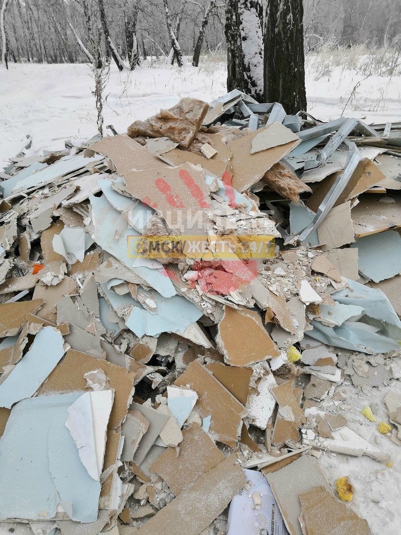 Омич пожаловался на появление кучи мусора в лесу Чкаловского поселка