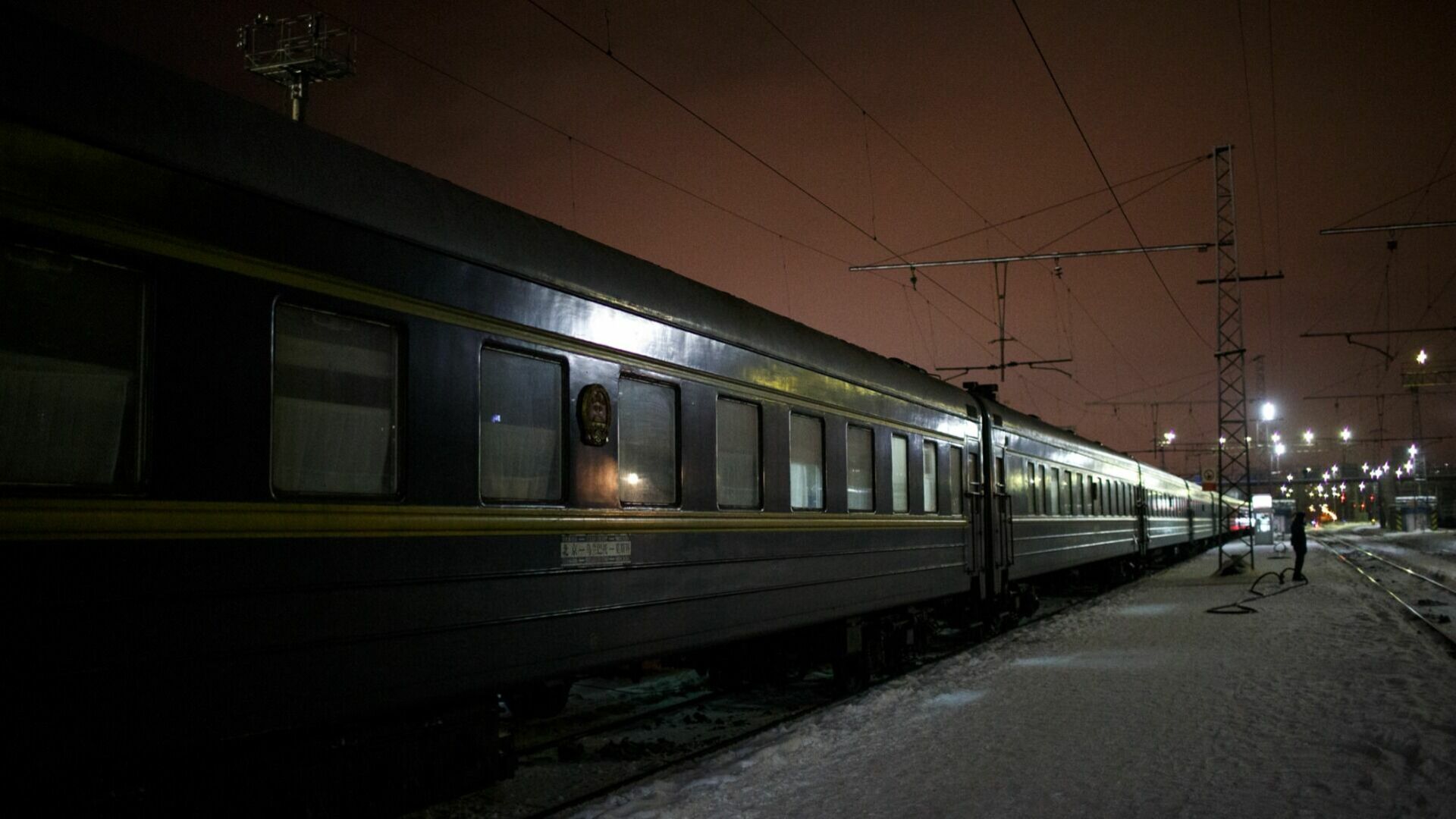 Поезд Екатеринбург — Омск сбил женщину с собакой