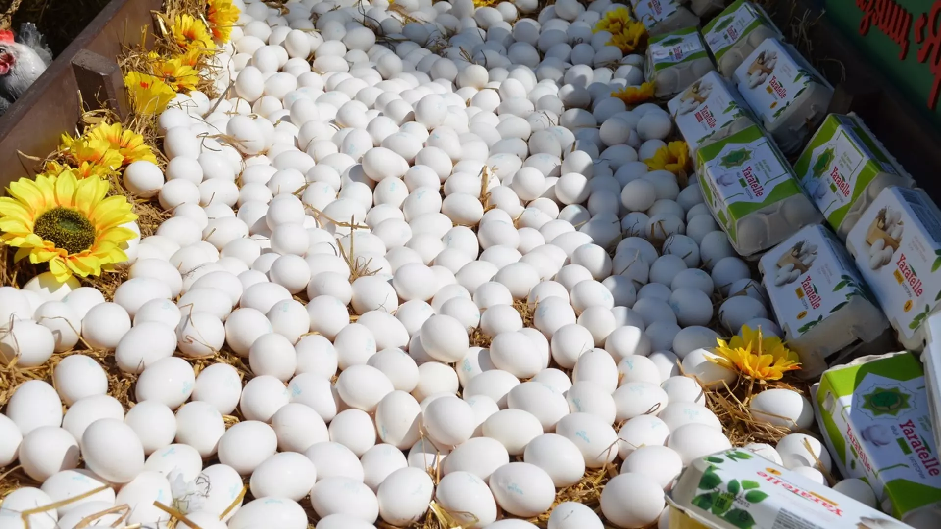 В Омске местный житель наткнулся на свалку яиц