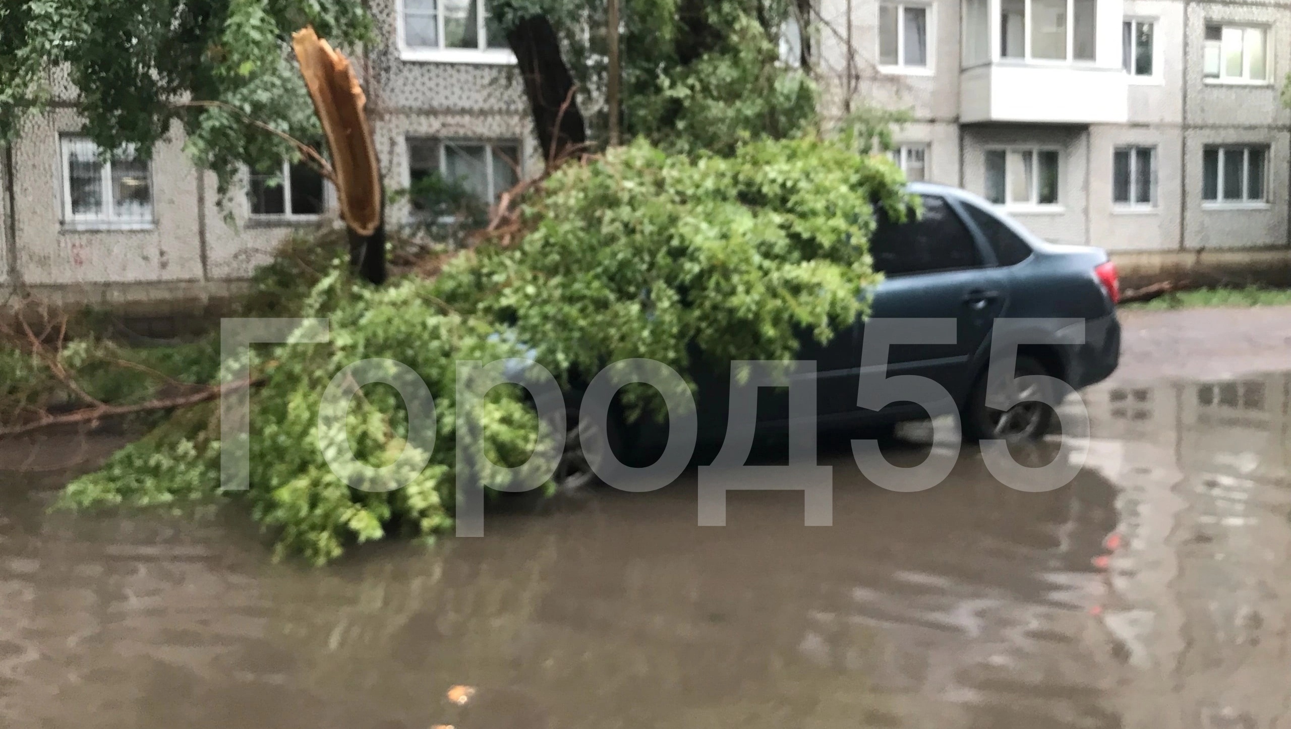 В Омске из-за сильного ветра сломало деревья и побило автомобили