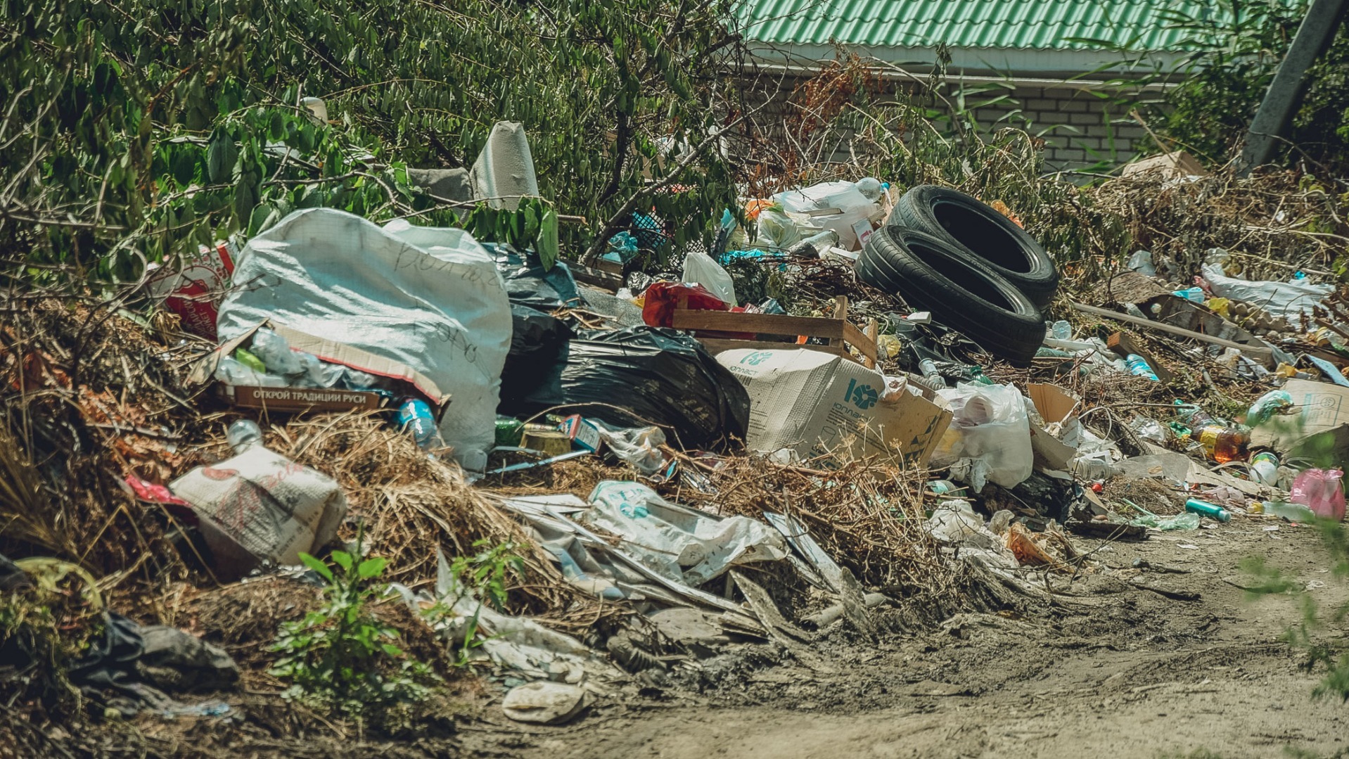 Круговорот мусора. В Омске незаконная свалка подобралась к жилым домам