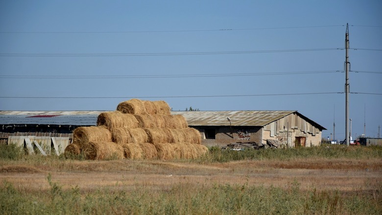 Омские земли отдадут в аренду за полцены аграриям