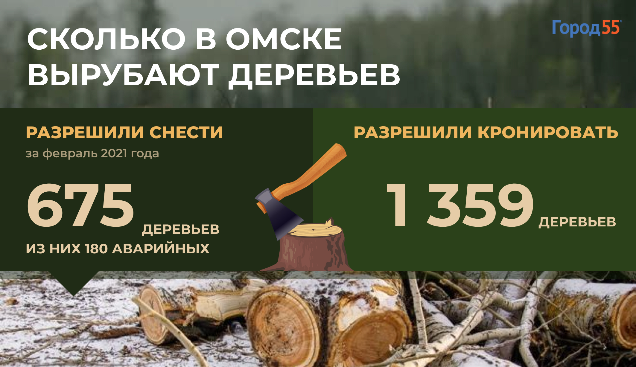 Омск лишится еще 675 деревьев. Где пройдут вырубки