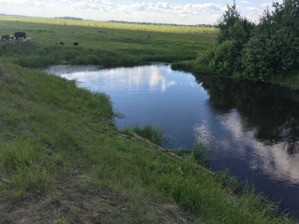 В Омской области в котловане для скота утонул ребенок