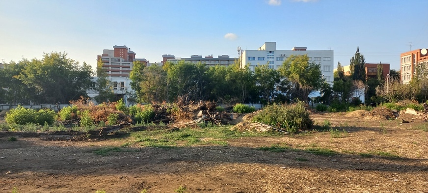 В Омске запретили сносить новые деревья для строительства многоэтажки на Тарской