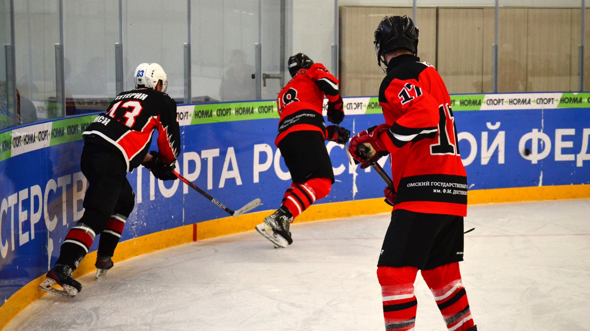 Команда ОмГУ стала чемпионом студенческой хоккейной лиги Омска