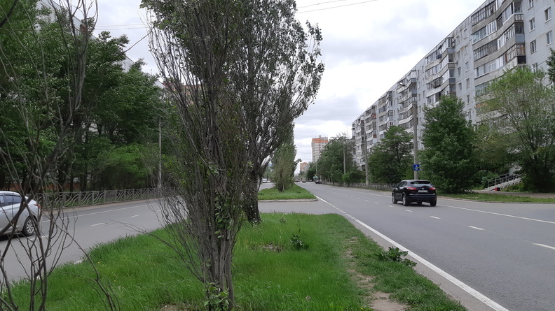 Омские Нефтяники начали засаживать деревьями