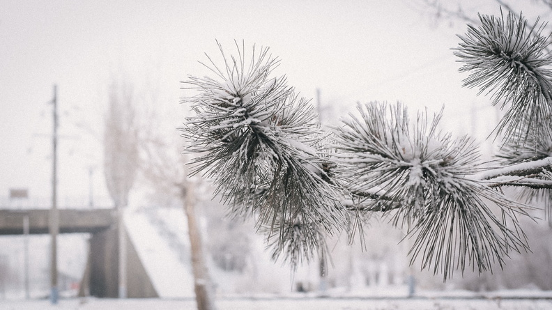 Нестабильная зима. В Омске ожидаются 30-градусные перепады температуры