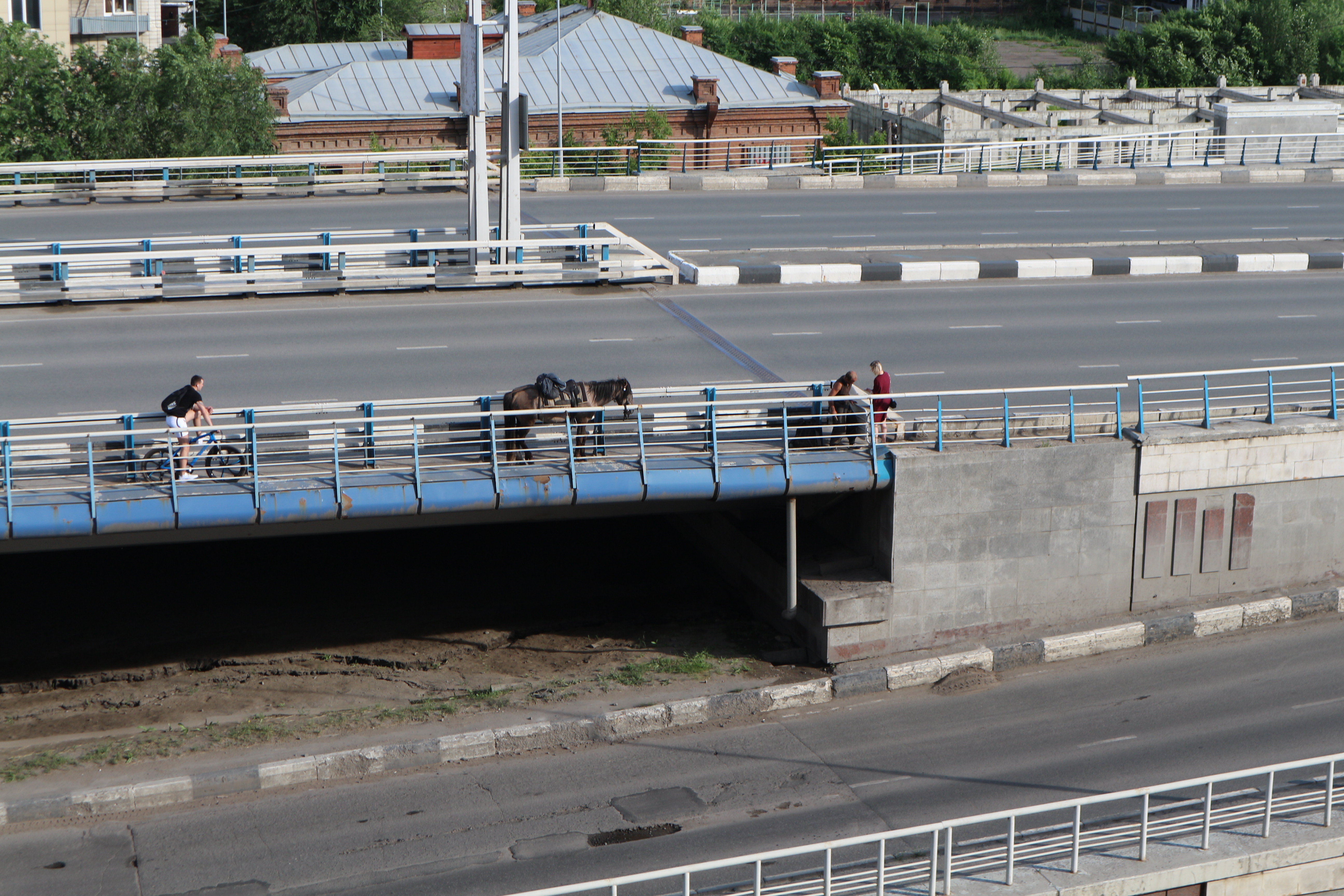 Видео дня: в Омске всадник разбирает метромост, чтобы проехать на коне