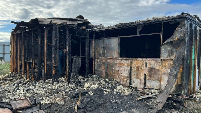Два тела. В Омской области братья сгорели после алкозастолья